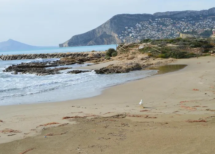 Rubino - Inmodream Κάλπε